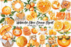 Citrus Orange Clipart Bundle