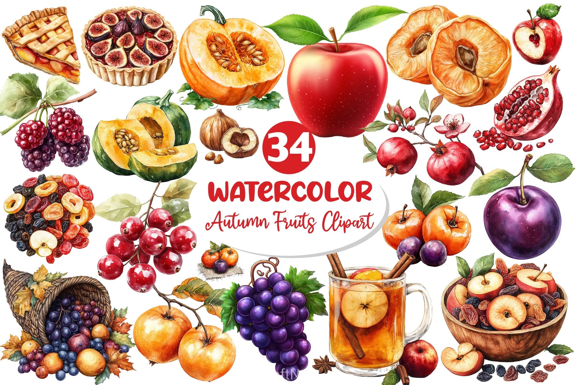 Autumn Fruits Clipart Bundle 5 - CraftNest - Digital Crafting and Art
