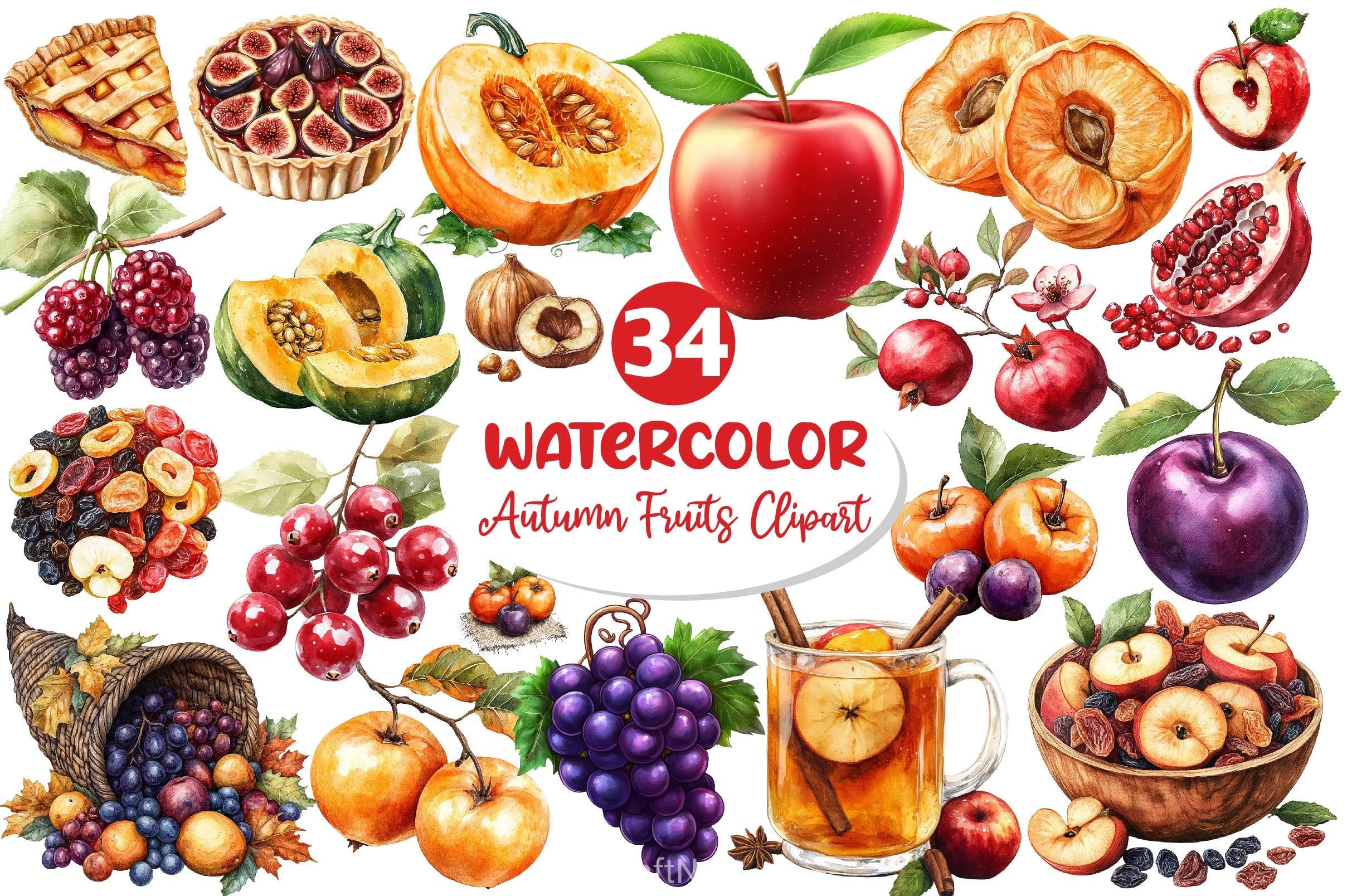 Autumn Fruits Clipart Bundle 5 - CraftNest - Digital Crafting and Art