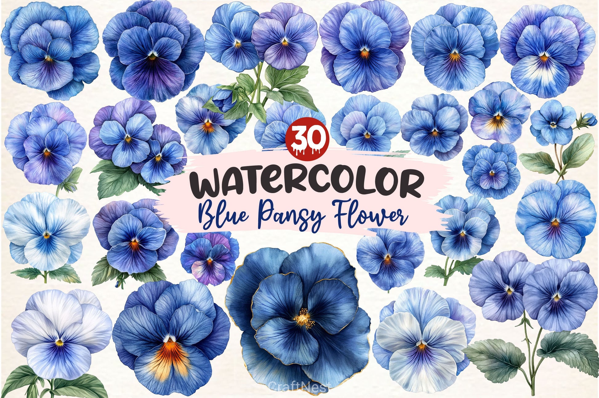Blue Pansy Flower Clipart Bundle - CraftNest - Digital Crafting and Art