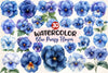 Blue Pansy Flower Clipart Bundle