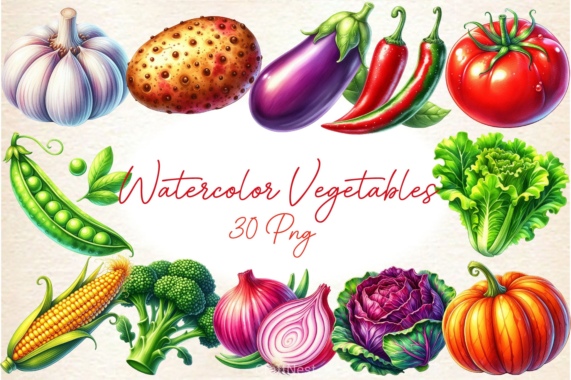 Vegetables Clipart Bundle 4 - CraftNest - Digital Crafting and Art