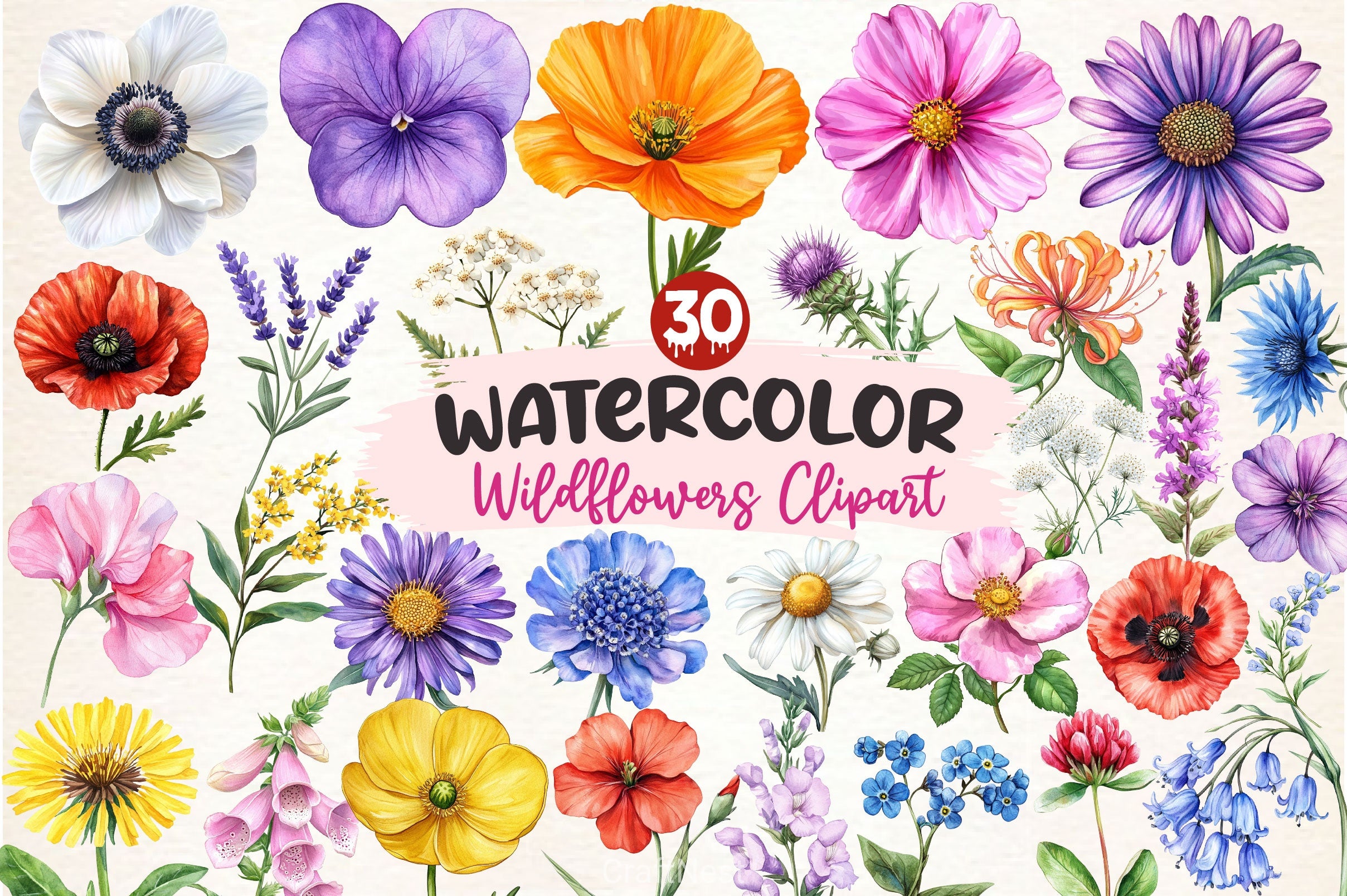 Wildflowers Clipart Bundle 3 - CraftNest - Digital Crafting and Art