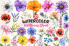 Wildflowers Clipart Bundle 3