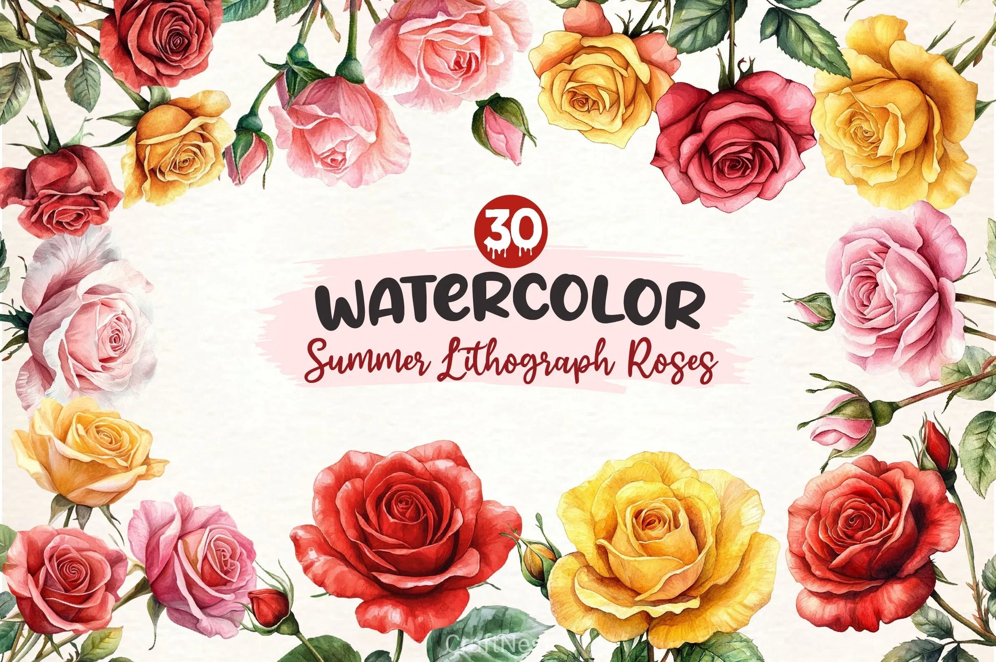 Summer Lithograph Roses Clipart Bundle - CraftNest - Digital Crafting and Art