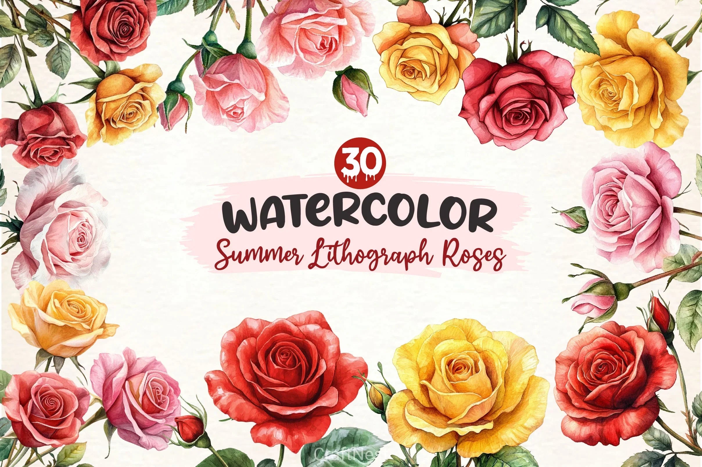 Summer Lithograph Roses Clipart Bundle - CraftNest - Digital Crafting and Art