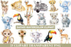 Safari Clipart
