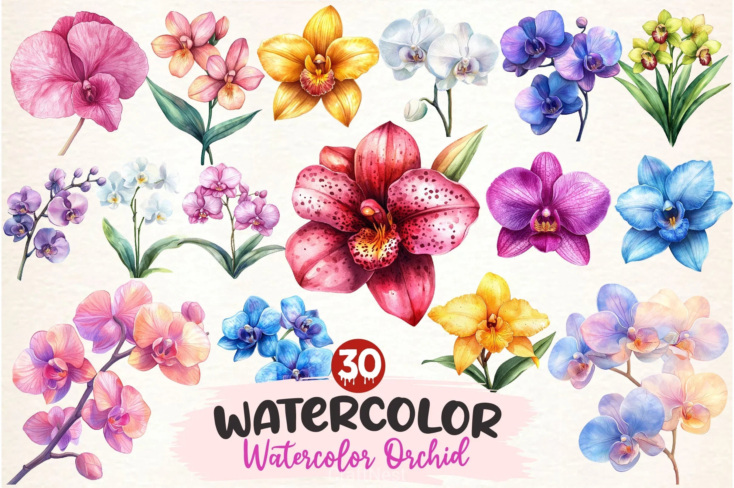 Orchid Clipart Bundle 2 - CraftNest - Digital Crafting and Art