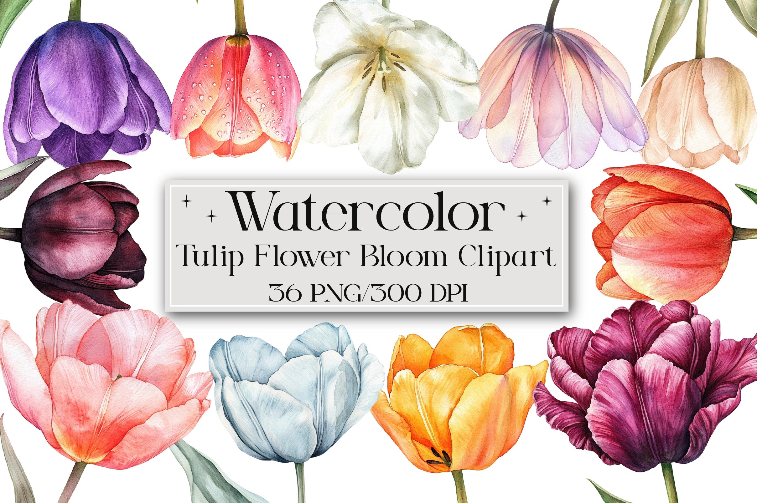 Tulip Flower Clipart Bundle - CraftNest - Digital Crafting and Art