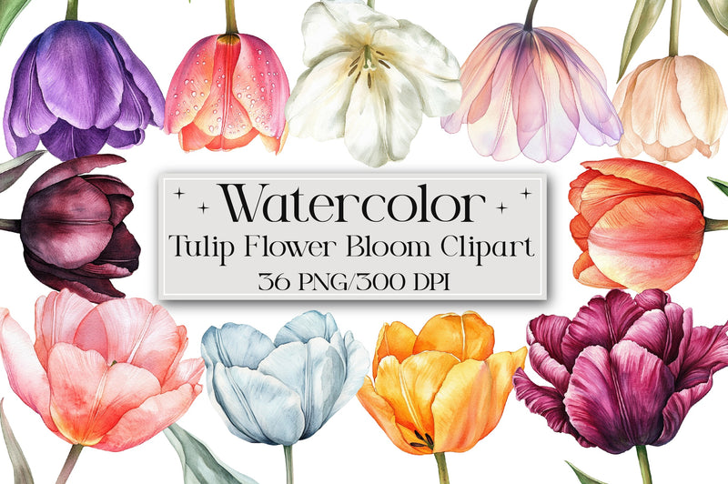 Tulip Flower Clipart Bundle - CraftNest - Digital Crafting and Art