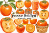 Persimmon Fruit Clipart Bundle 5
