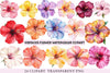 Hibiscus Flower Clipart