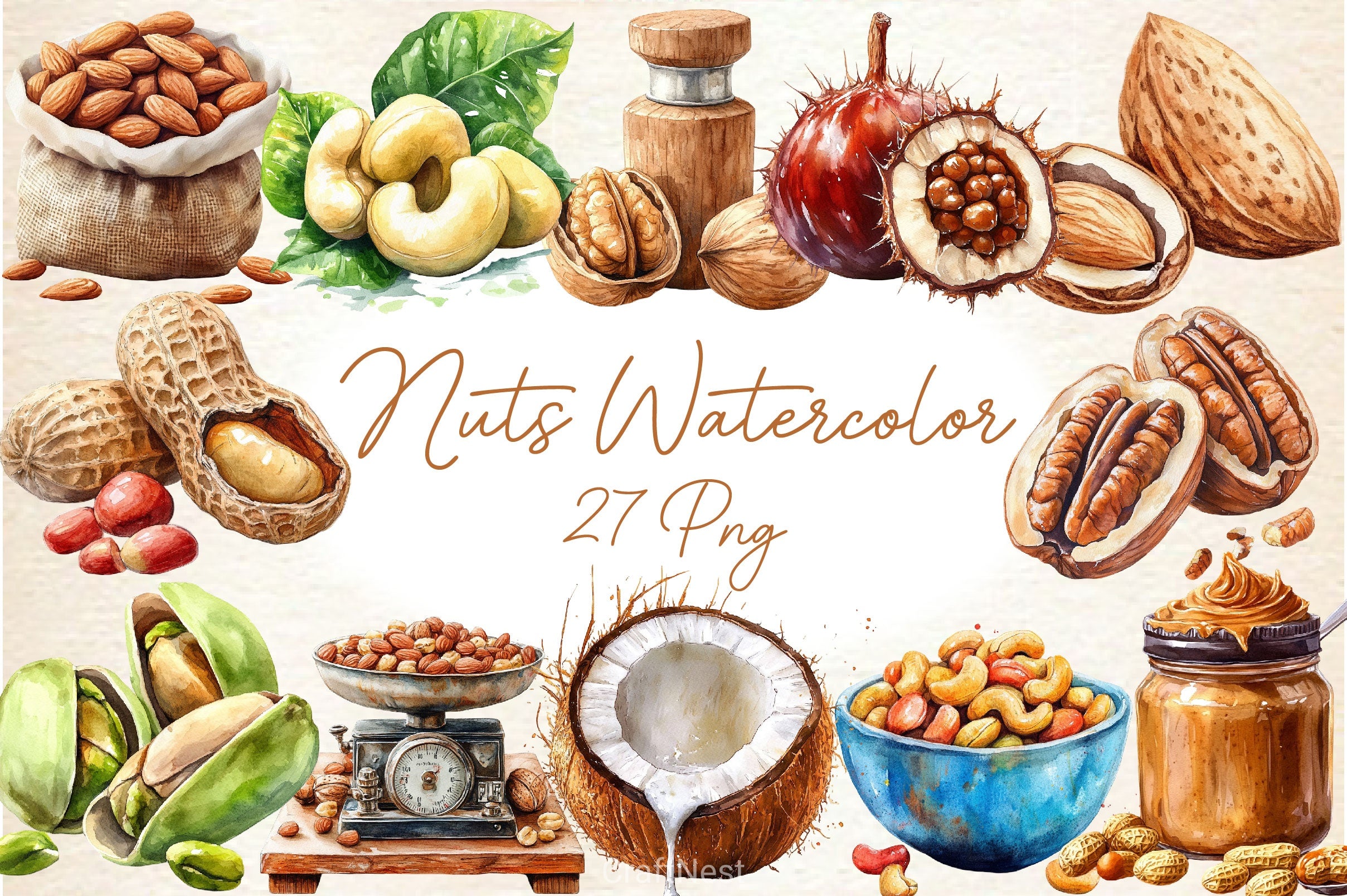 Nuts Clipart Bundle 2 - CraftNest - Digital Crafting and Art