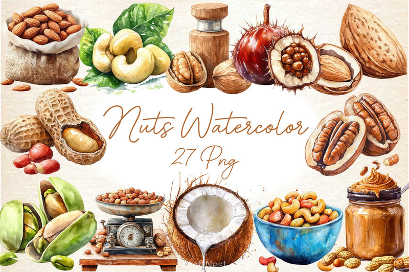 Nuts Clipart Bundle 2 - CraftNest - Digital Crafting and Art