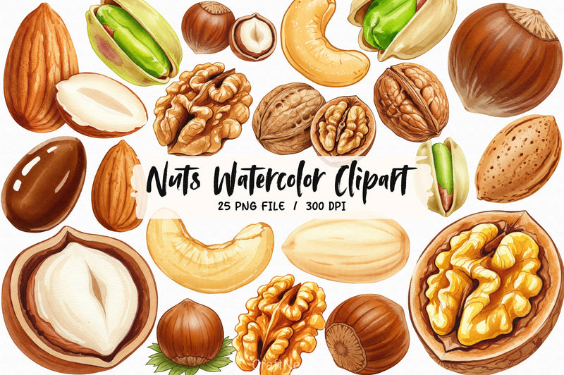 Nuts Clipart Bundle 3 - CraftNest - Digital Crafting and Art