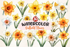 Daffodil Flower Clipart Bundle 2 - CraftNest - Digital Crafting and Art