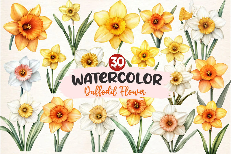 Daffodil Flower Clipart Bundle 2 - CraftNest - Digital Crafting and Art