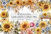 Sunflower Clipart Bundle 5