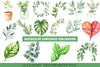 Greenery Clipart Bundle