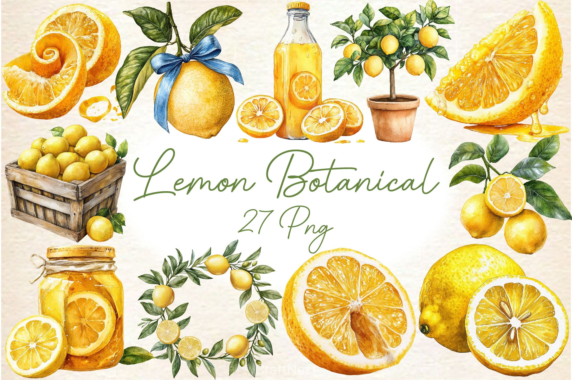 Mediterranean Lemon Botanical Clipart Bundle 4 - CraftNest - Digital Crafting and Art