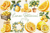 Mediterranean Lemon Botanical Clipart Bundle 4