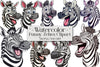 Funny Cartoon Zebra Clipart Bundle