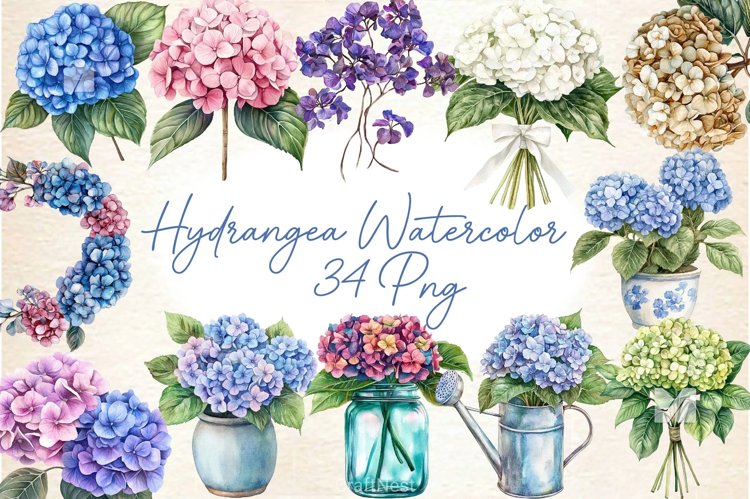 Hydrangea Clipart Bundle 2 - CraftNest - Digital Crafting and Art