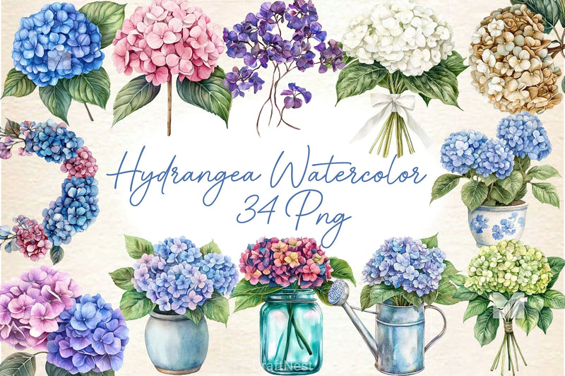 Hydrangea Clipart Bundle 2 - CraftNest - Digital Crafting and Art