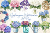Hydrangea Clipart Bundle