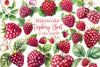 Raspberry Clipart Bundle 52