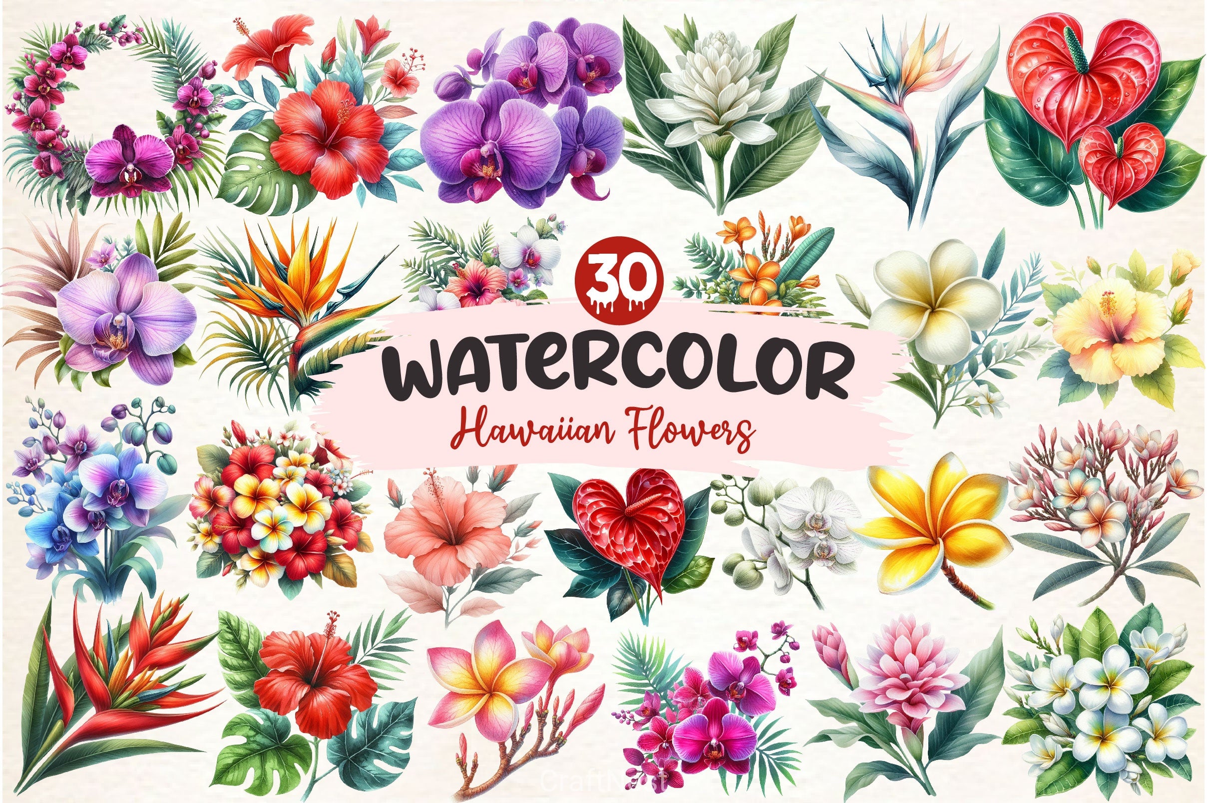 Hawaiian Flowers Clipart Bundle - CraftNest - Digital Crafting and Art