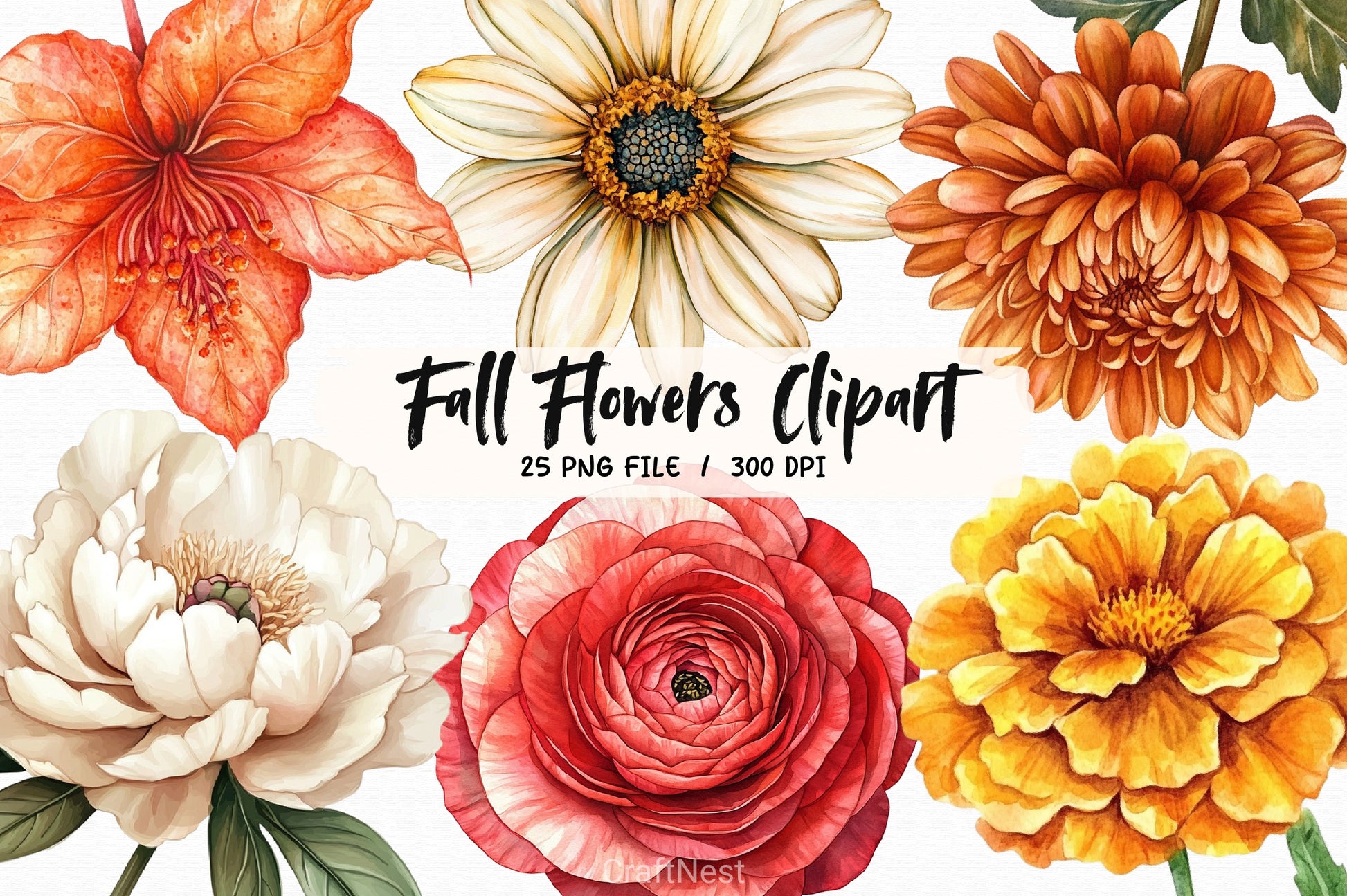 Fall Flowers Clipart Bundle 3 - CraftNest - Digital Crafting and Art