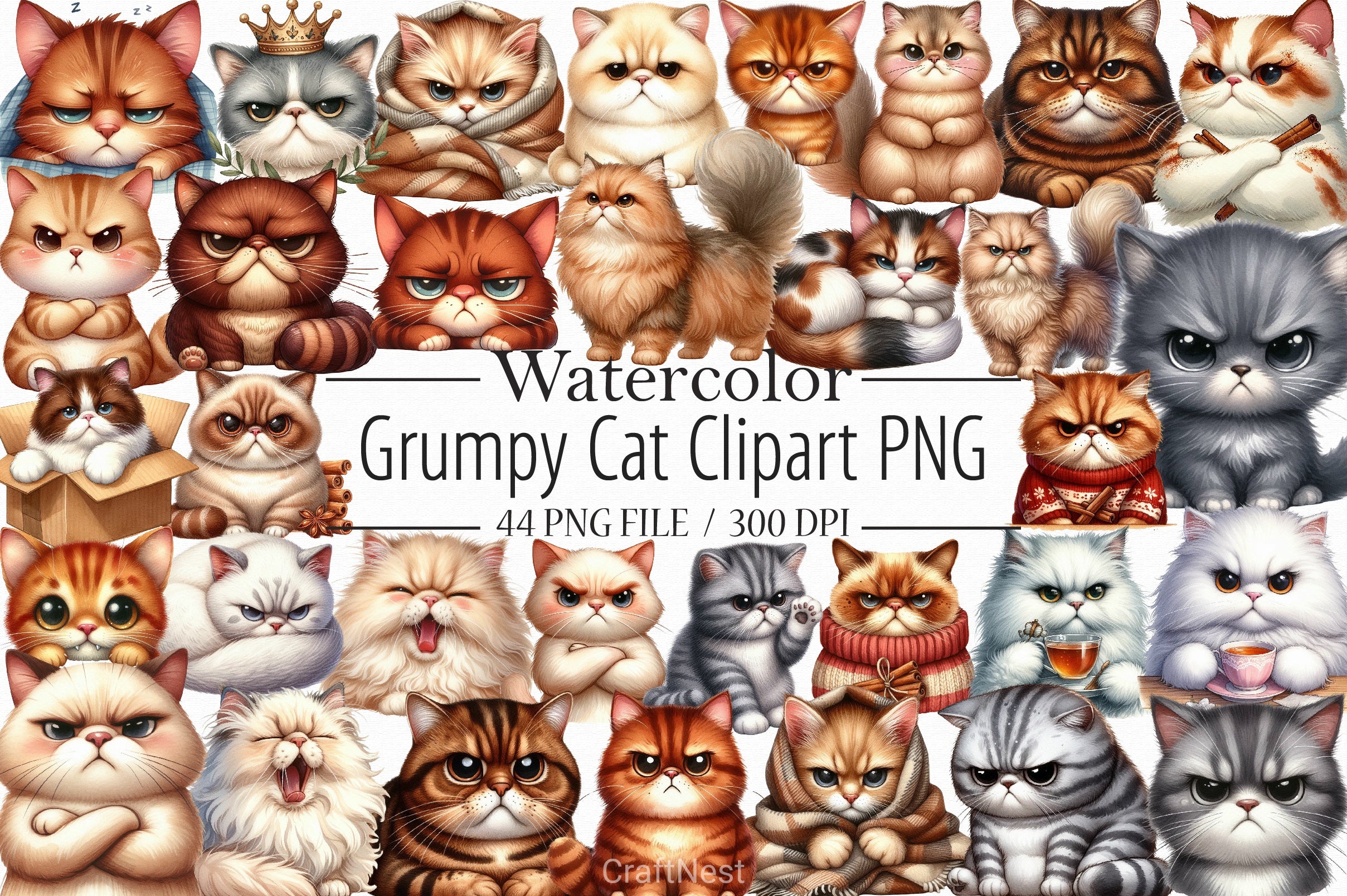 Grumpy Cat Clipart Bundle - CraftNest - Digital Crafting and Art