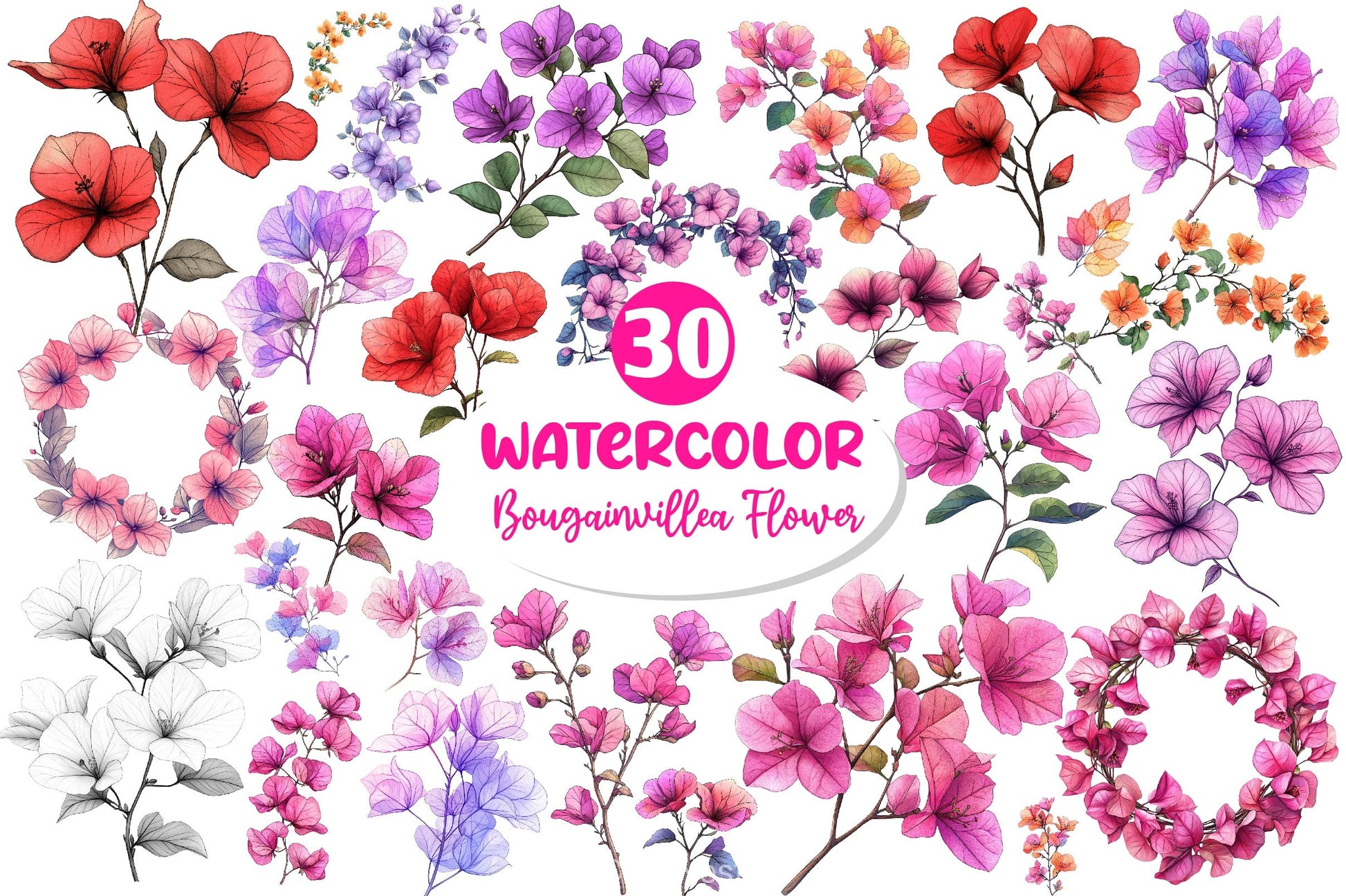 Bougainvillea Flower Clipart Bundle 2 - CraftNest - Digital Crafting and Art