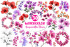 Bougainvillea Flower Clipart Bundle 2