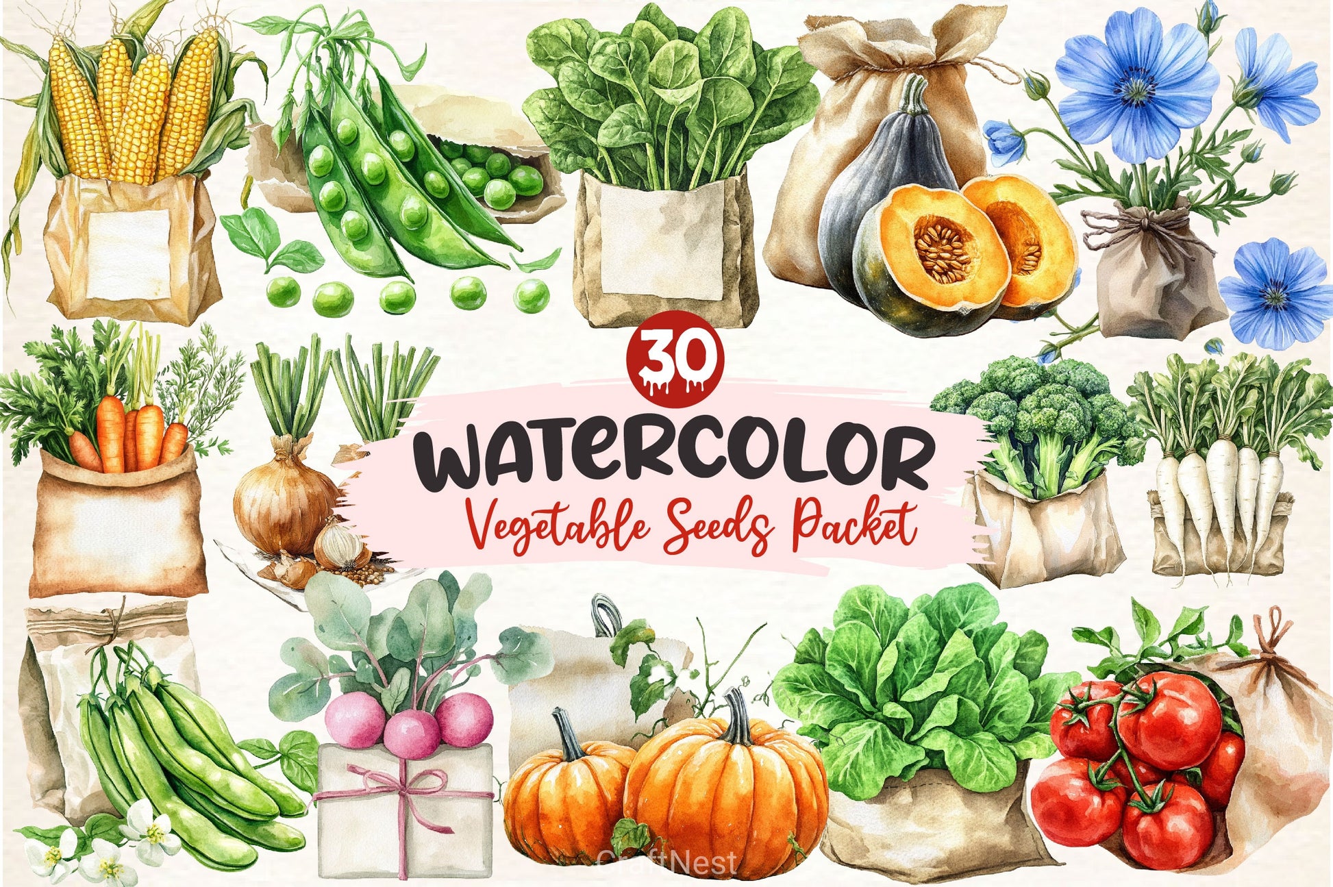 Vegetable Seeds Packet Clipart Bundle - CraftNest - Digital Crafting and Art