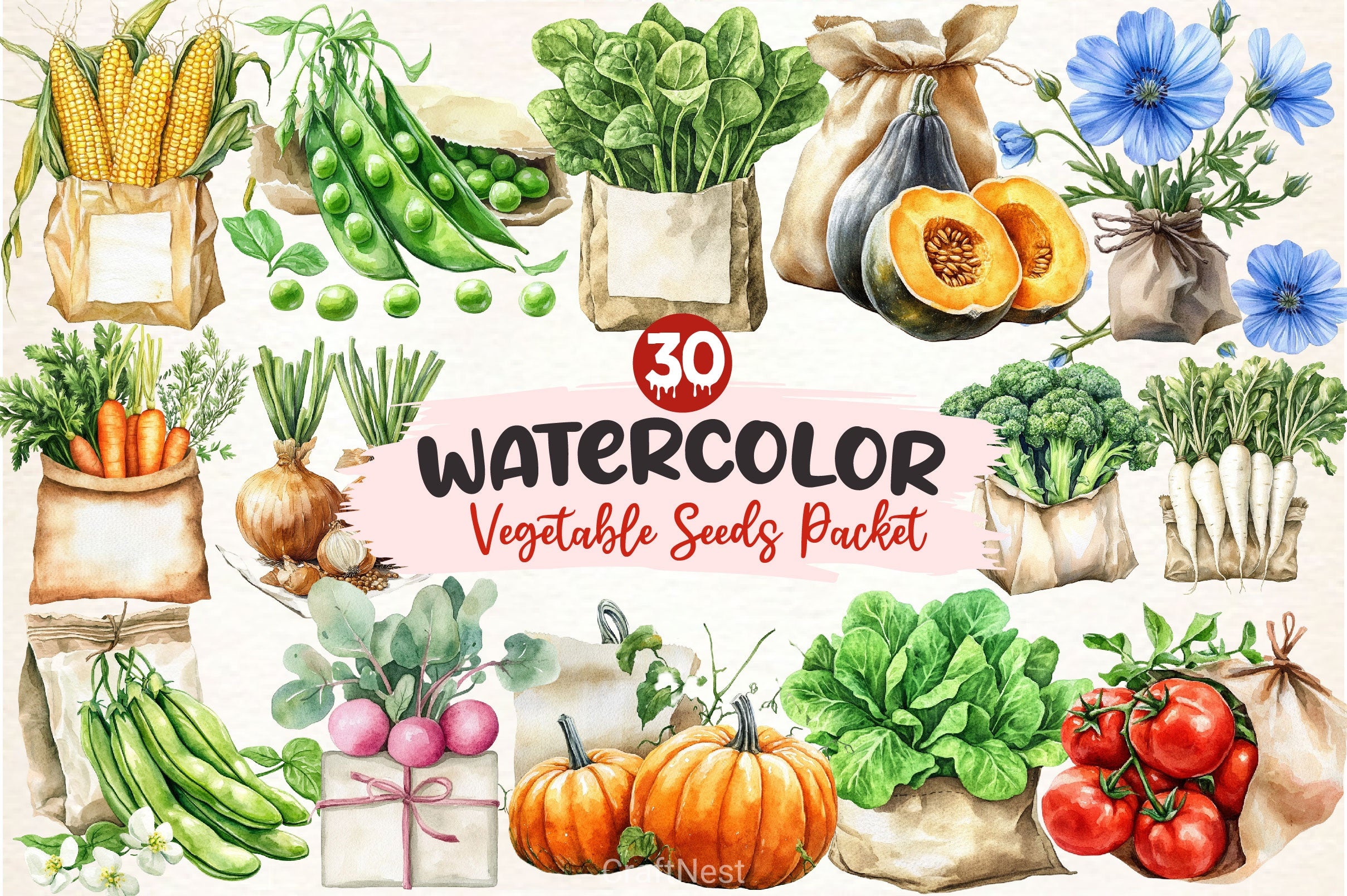 Vegetable Seeds Packet Clipart Bundle - CraftNest - Digital Crafting and Art
