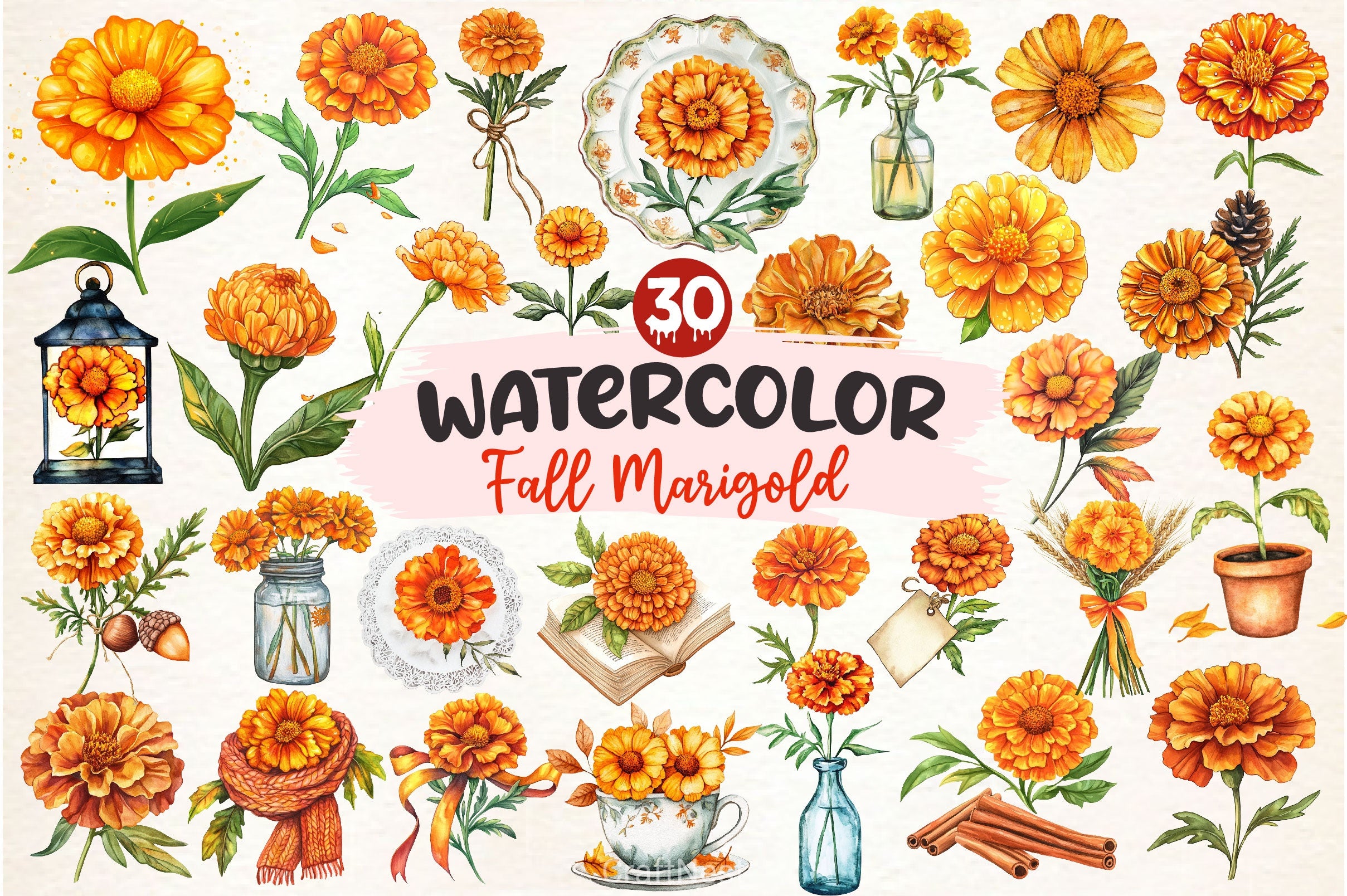 Fall Marigold Clipart Bundle 2 - CraftNest - Digital Crafting and Art