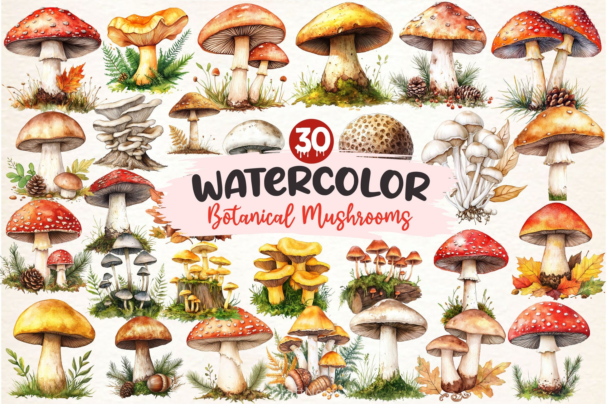 Botanical Autumn Mushrooms Clipart Bundle - CraftNest - Digital Crafting and Art