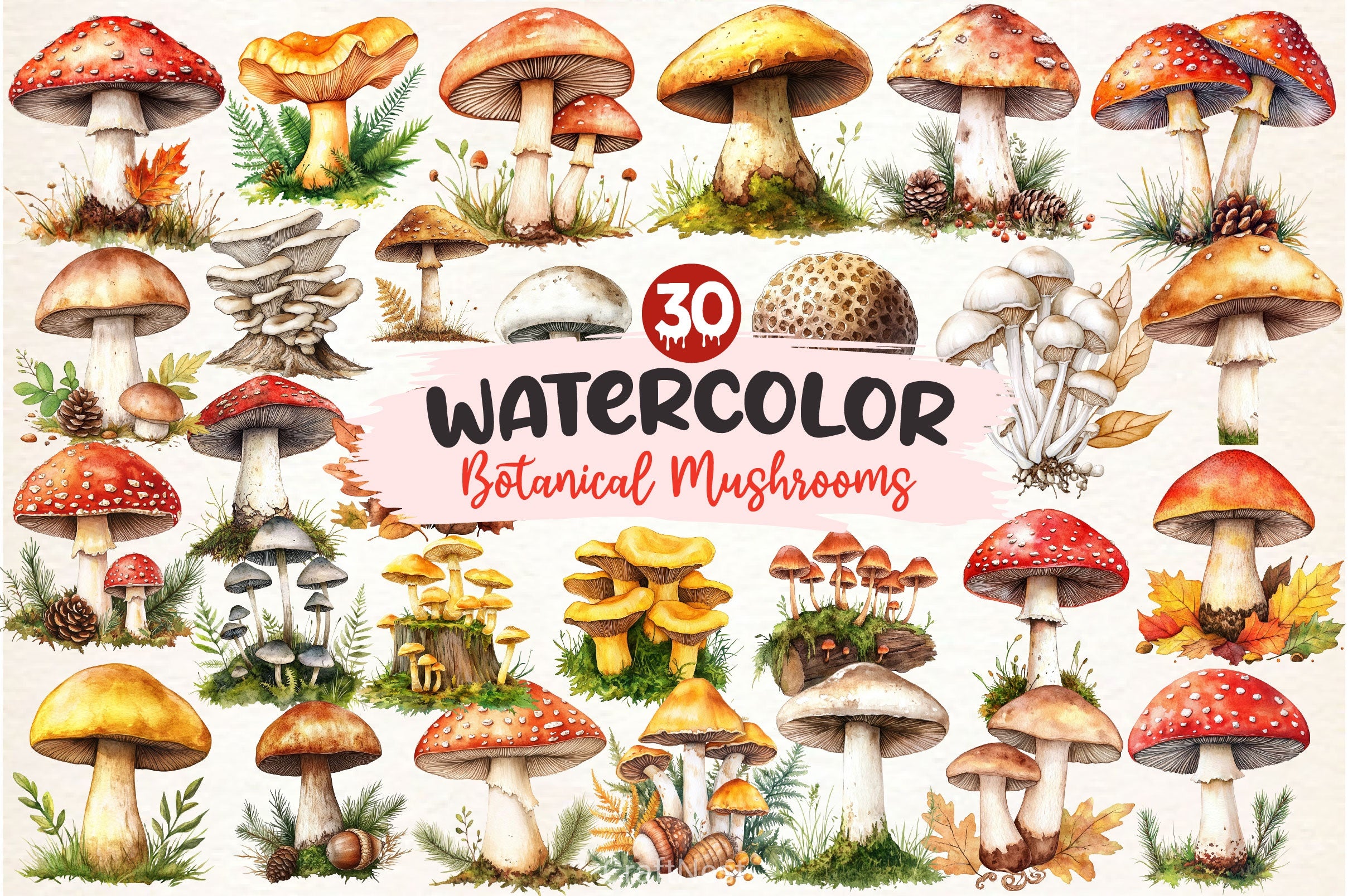 Botanical Autumn Mushrooms Clipart Bundle - CraftNest - Digital Crafting and Art