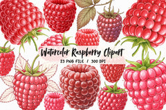 Raspberry Clipart Bundle - CraftNest - Digital Crafting and Art