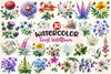 Botanical Forest Wildflower Clipart Bundle
