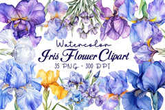 Iris Flower Clipart Bundle - CraftNest - Digital Crafting and Art