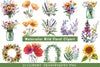 Wild Floral Clipart Bundle