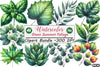 Green Summer Foliage Clipart Bundle 3