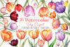 Tulip Clipart Bundle