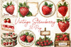 Vintage Strawberry Clipart Bundle
