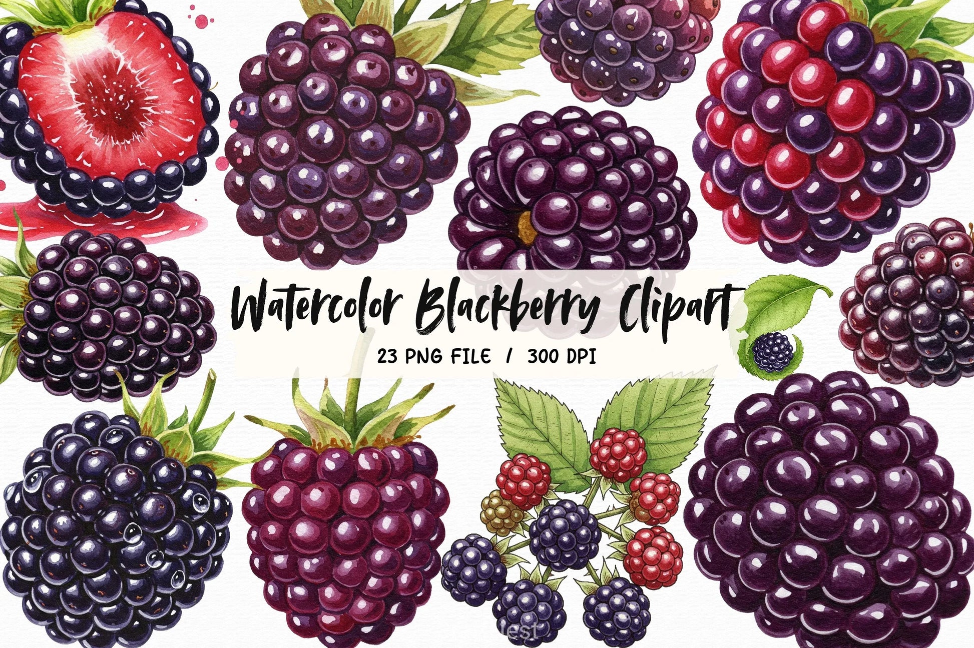 Blackberry Clipart Bundle 3 - CraftNest - Digital Crafting and Art