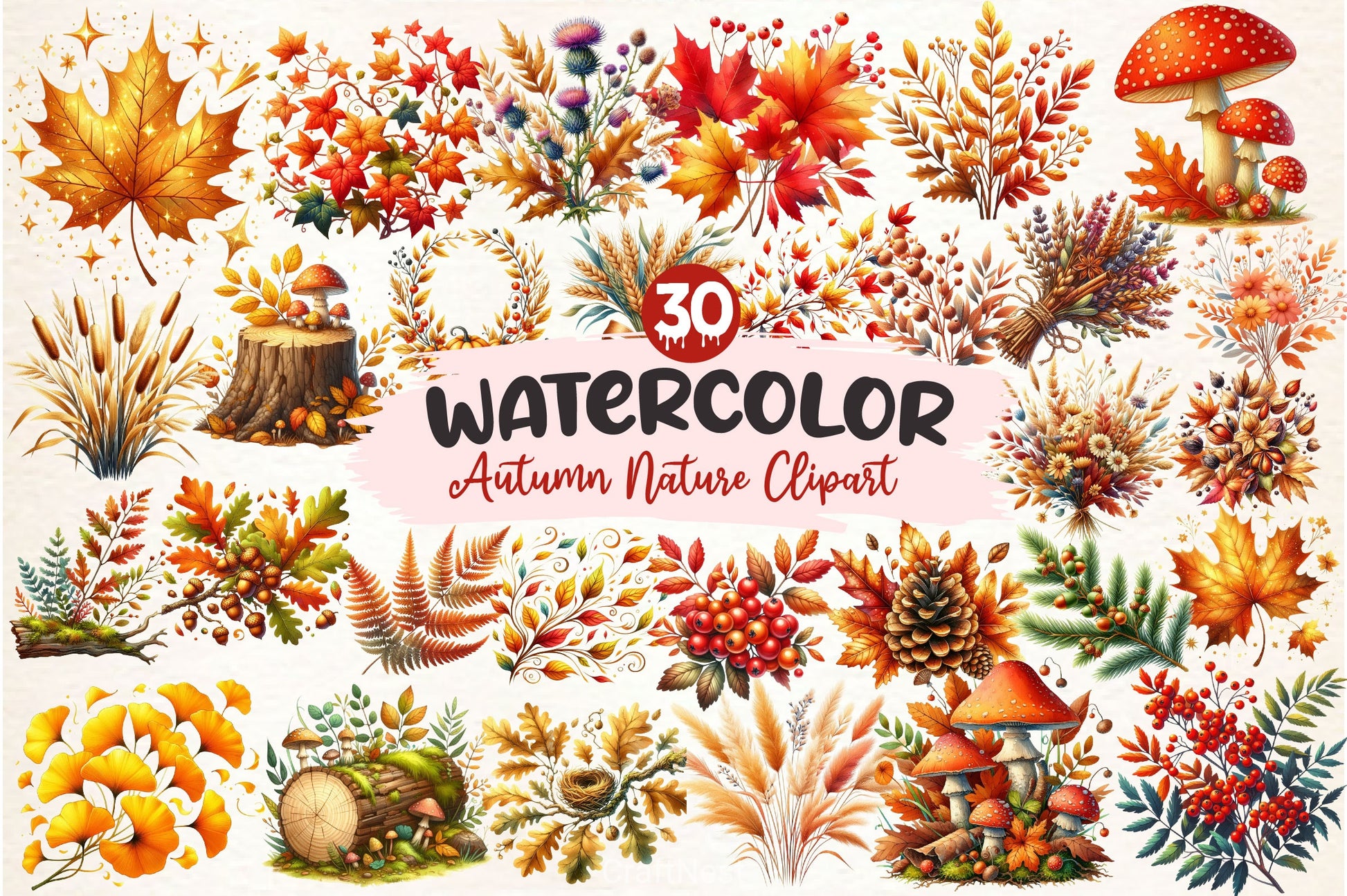 Autumn Nature Clipart Bundle - CraftNest - Digital Crafting and Art