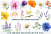 Well Defined Wildflower Clipart
